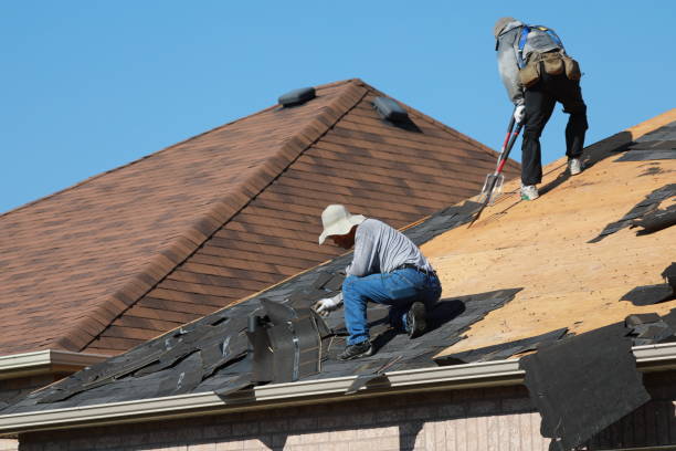 Best Roof Insulation Installation  in Waller, TX
