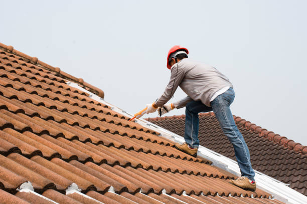 Best Cold Roofs  in Waller, TX